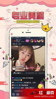 逗拍福利在线观看,在线观看,欢乐无限